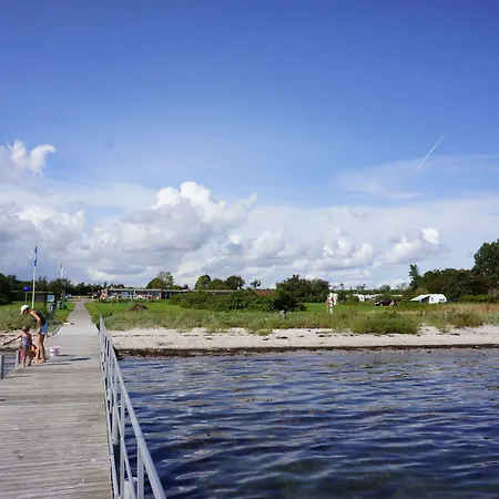 キャンプ場 Hygge オルダー