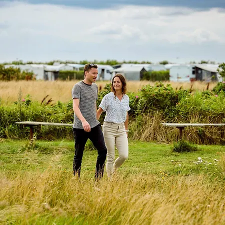 キャンプ場 Hygge